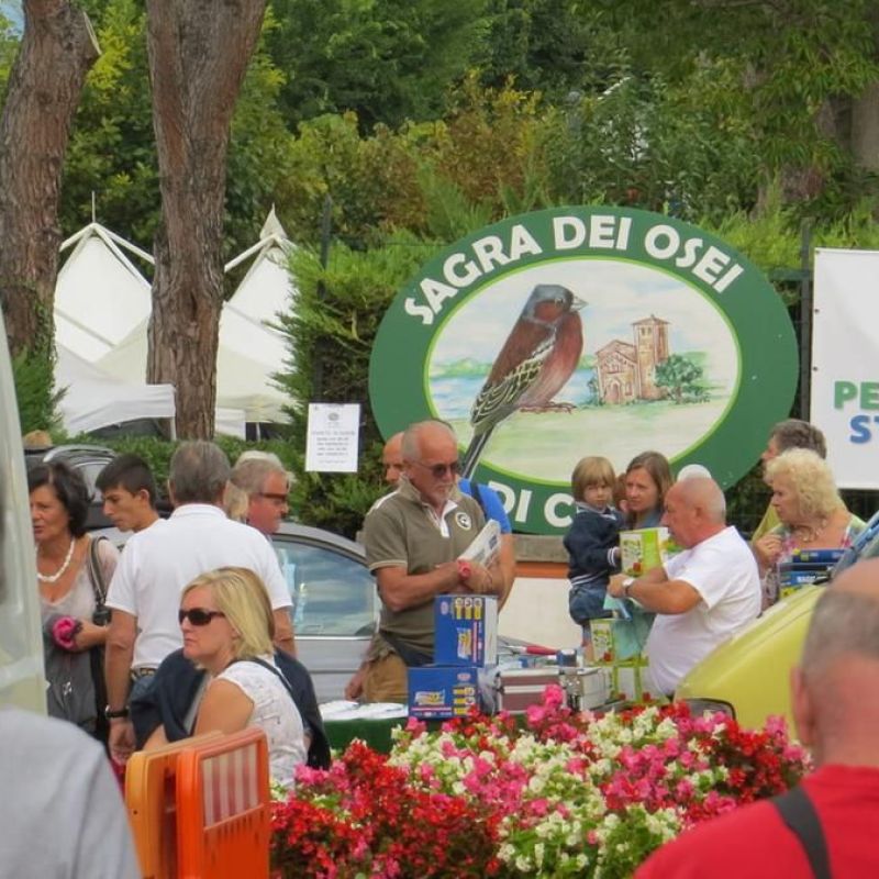 Cisano bird festival (Sagra dei Osei de Sis&agrave;n)